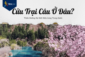 Cửu Trại Câu ở đâu