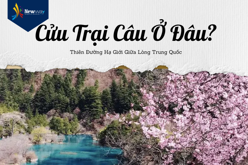 Cửu Trại Câu ở đâu
